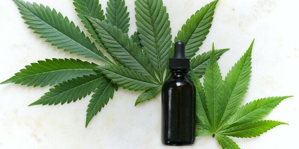 Unveiling Nature’s Essence: What Is In Organic CBD Oil