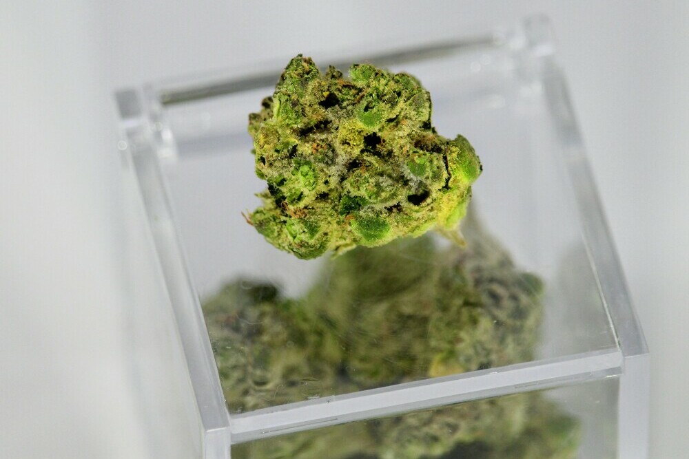 Cannabis Terpenes And Their Effects