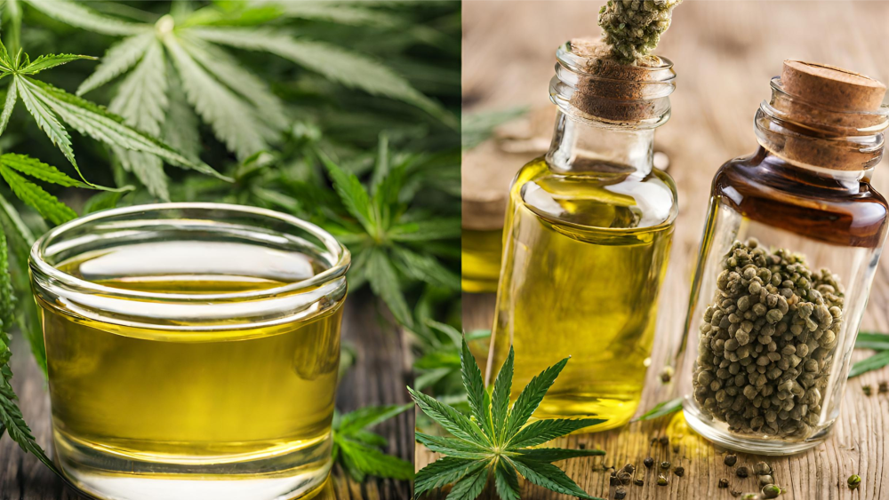 CBD Oil Vs. Hemp Oil: What’s The Difference?